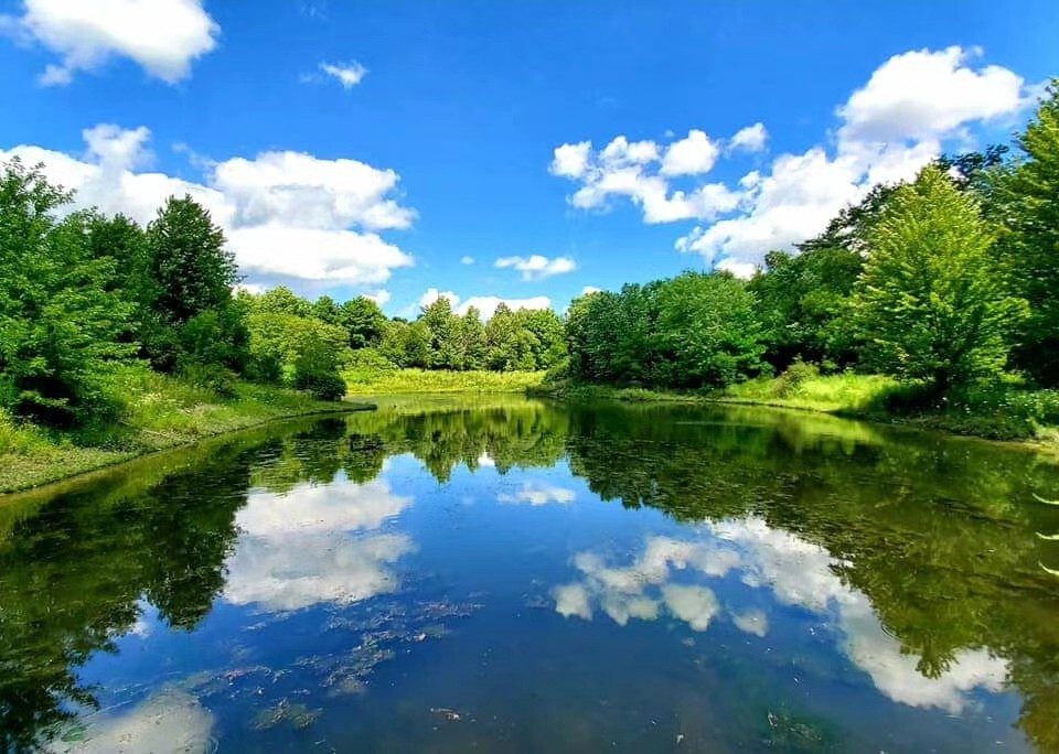 回溫期養(yǎng)蝦如何治弧菌？