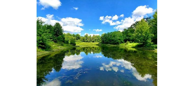 回溫期養(yǎng)蝦如何治弧菌？